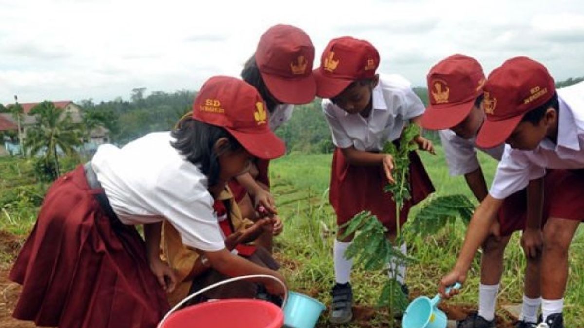 Temanggung Prepares 125,000 Tree Seeds To Green Critical Lands