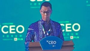 Bos PLN Ungkap Energi yang Terjangkau Buka Peluang Investasi Baru