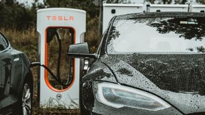 Tesla Ingin Berinvestasi di Indonesia untuk Mengolah Nikel