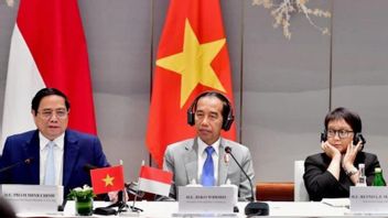 Le président Jokowi a invité les entrepreneurs vietnamiens à investir dans IKN