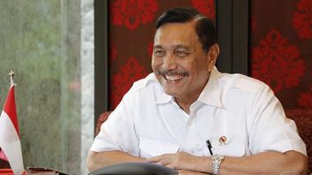 Luhut Not Worried About Reporting To KPK About Alleged PCR Business, Spokesperson: Everything He Did Was Service For The State