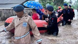 Penyebab Banjir Bali 2025 yang Memakan Korban Jiwa