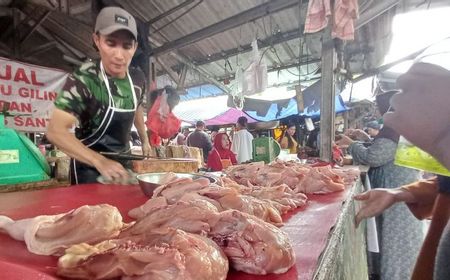 Jelang Maulid Nabi, Babel Tambah 15 Ton Daging Ayam Antisipasi Kebutuhan Warga