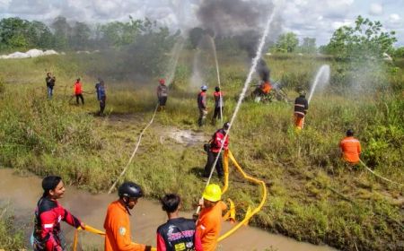 Bila Lihat Karhutla di Kalteng, BPBD Imbau Segera Lapor Lurah atau Polisi