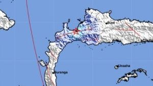 Tolitoli Sulawesi Tengah dan Kepulauan Sangihe Talaud Sulawesi Utara Diguncang Gempa Bumi