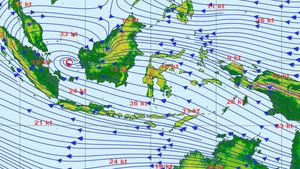 Ramai Dibahas Potensi Gempa Besar di Bali, BMKG Minta Warga Tak Panik