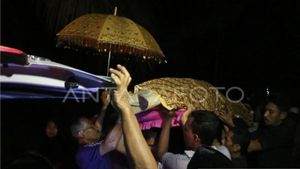 Tragis! Tak Sengaja Pegang Kabel Saat Cari Ikan di Parit, Remaja Aceh Barat Tewas Tersengat Listrik 