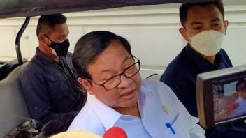 Cabinet Secretary Says MenPAN-RB Candidate Names Are Almost Condensed, Jokowi Will Discuss With Megawati