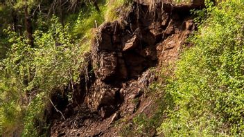 The Body Of An 11-year-old Boy In Cianjur Who Was Crushed By A Landslide While Taking Shelter Under A Cliff Was Finally Found