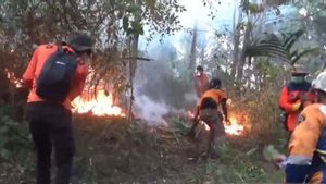Pemkab Ngawi Tetapkan Status Tanggap Darurat Karhutla di Gunung Lawu