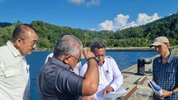 KSP Ensures Trans Papua Land Acquisition Fulfills Indigenous Peoples' Rights