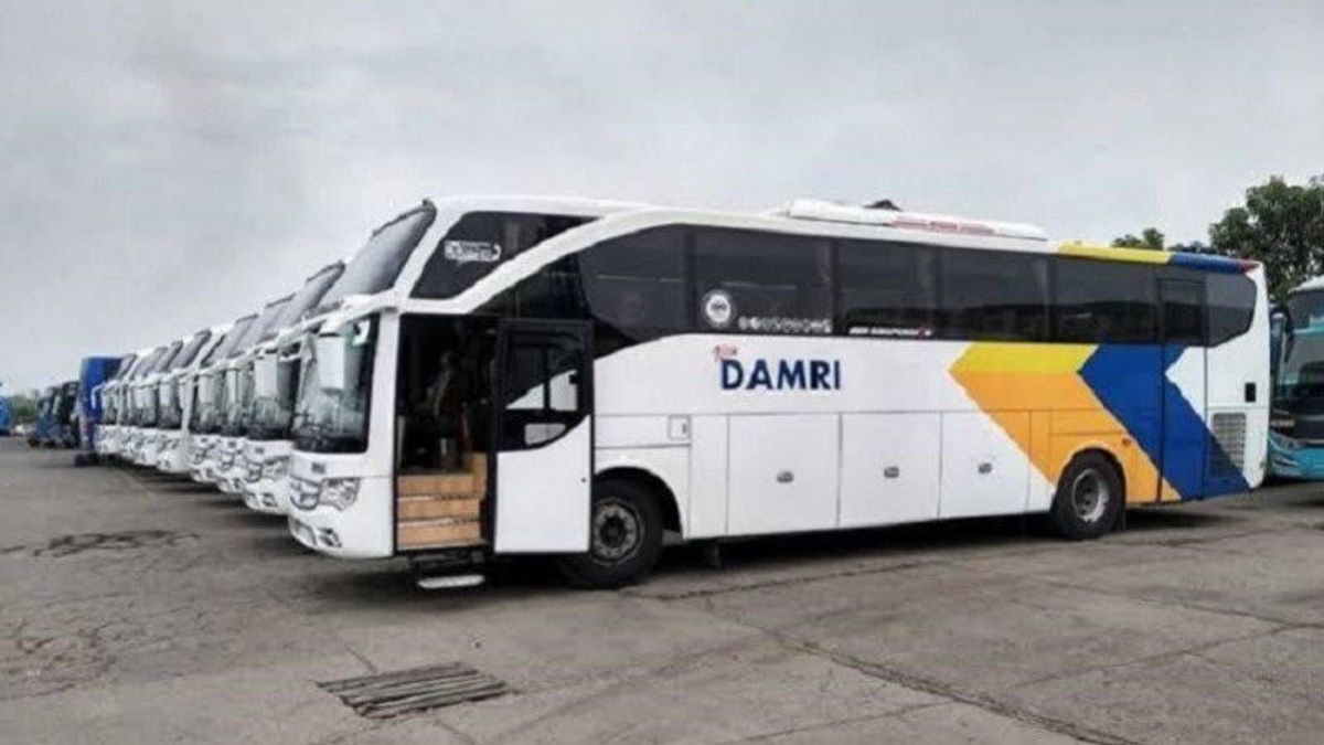 Damri Re-implements Jayapura- Sentani Airport Route, The Tariff Is IDR 60,000