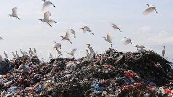 班达亚齐甘东废物管理成为可再生能源的投资者