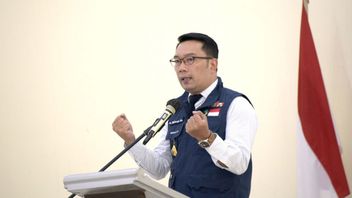Heboh Jenderal Bintang 1 TNI Tembaki Kucing, Ridwan Kamil Kasih Saran Bawa Hewan Terlantar ke Rumah Sakit Cikole