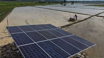 美国对印度的印度太阳能电池板征收100%关税