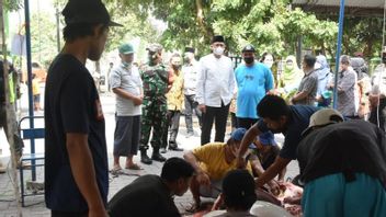 Satu Hewan Kurban di Sleman, Yogyakarta Ditemukan Bergejala PMK