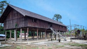 Rumah Adat Khas Kalimantan Tengah: Rumah Panggung  Betang