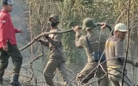 Tim Gabungan Berhasil Padamkan 2 Lokasi Karhutla di Penajam Paser Utara