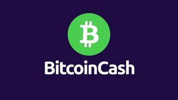 Bitcoin Cash (BCH) Flying 13% In A Day, Already TP?