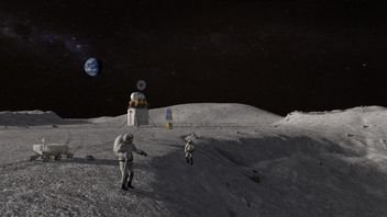 Researchers Save Seeds Of Living Creatures On The Moon To Prevent Extinction