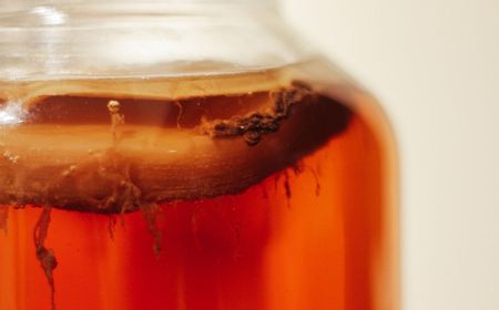 5 Manfaat Teh Kombucha, Minuman Fermentasi yang Rasanya Manis