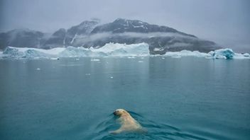 Greenland Diguyur Hujan Sebabkan Lapisan Es Seukuran Negara Mencair, Para Ilmuwan Mulai Cemas 