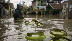 Perantaranya Tikus Hingga Sapi, Kemenkes Minta Waspadai Penyakit Leptospirosis di Kawasan Banjir