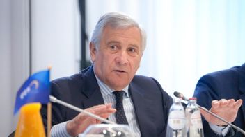 意大利外长：以色列无权贬低加沙舰队活动人士