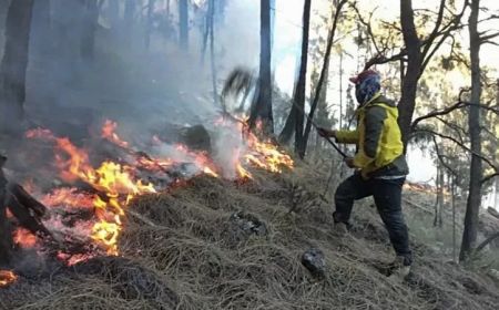 Pemkab Nagekeo NTT Wanti-wanti Aktivitas Berburu Secara Adat dengan Cara Membakar Hutan Dilarang