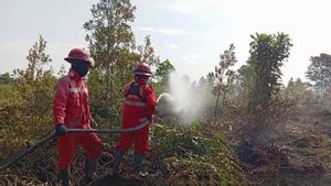 2天前,森林和陆地火灾仍在袭击通往西加里曼丹Singkawang机场的路线