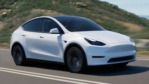 Tesla Model Y Alami Mati Listrik Total saat Perjalanan Jadi Sorotan Pengguna EV