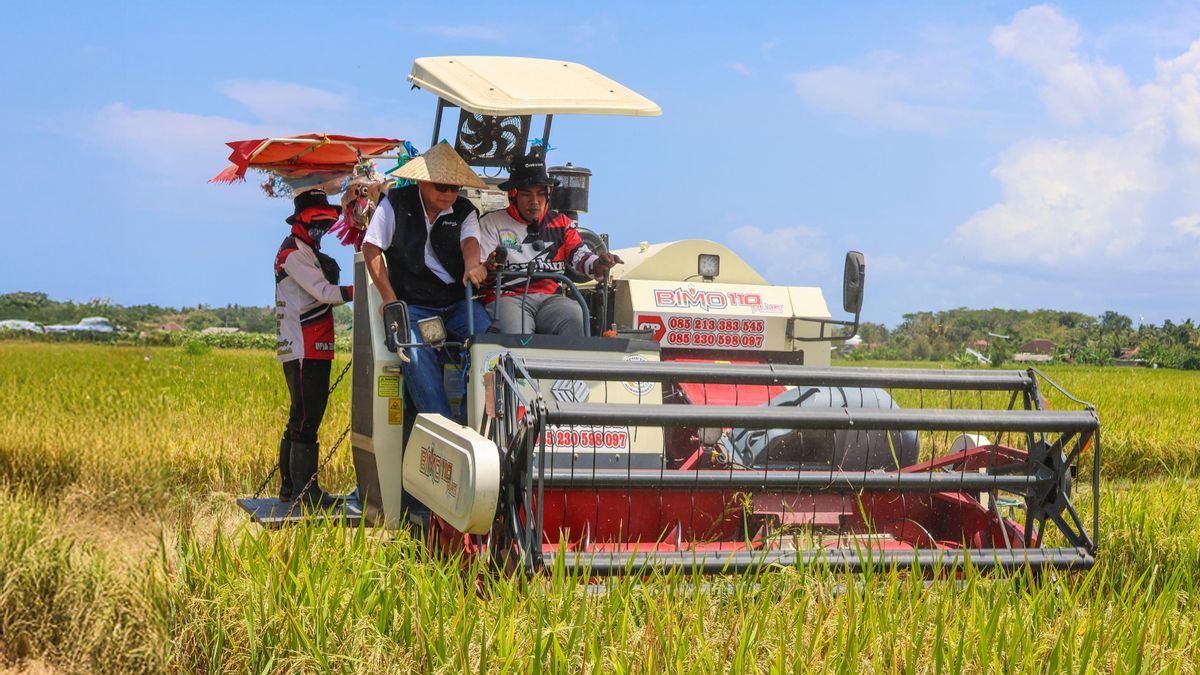 Bulog Sudah Serap 1 Juta Ton Setara Beras Selama Panen Raya