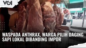 VIDEO: Waspada Anthrax, Warga Pilih Daging Sapi Lokal Dibanding Impor