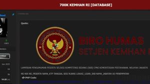 Kemhan Investigasi Kasus Peretasan Website