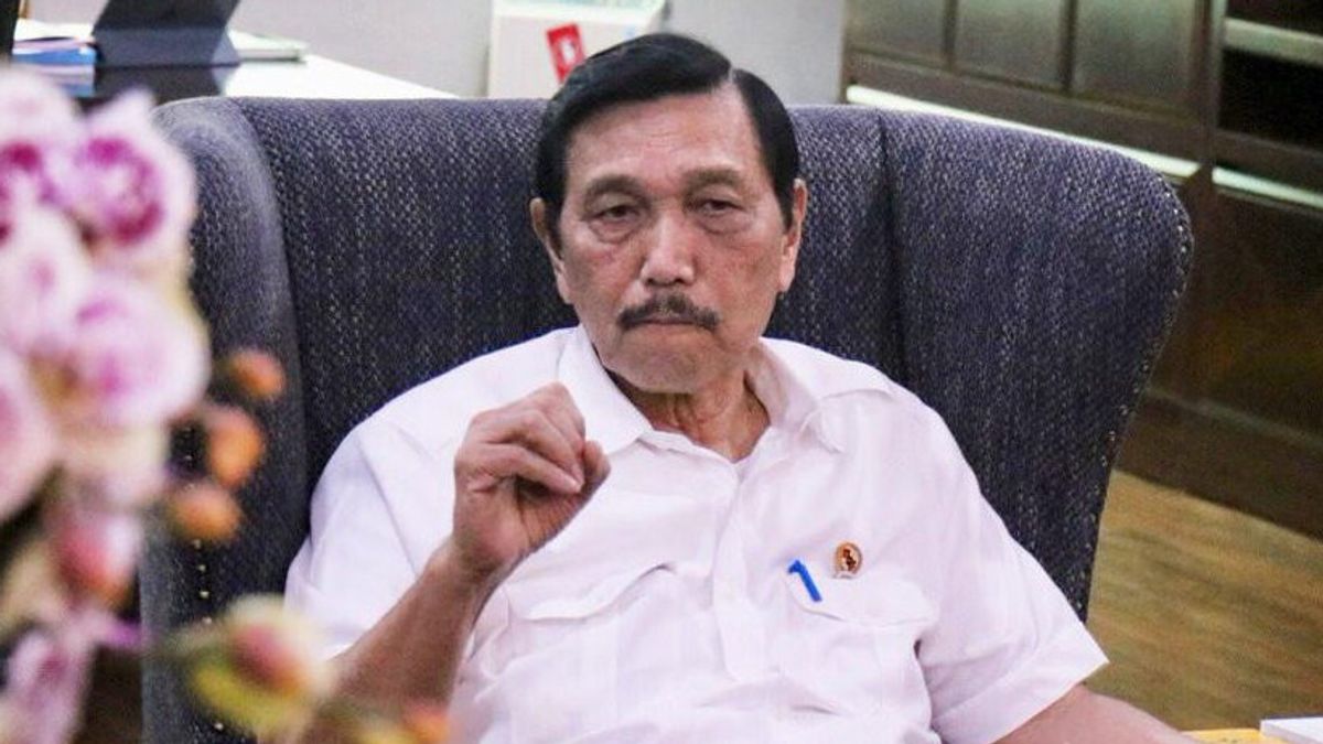 Luhut Said, LPI Bosses Will Be Announced Before February 15th