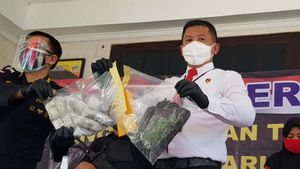 Petugas Bea dan Cukai Jateng Gagalkan Pengiriman Paket Sabu-sabu dari Malaysia ke Madura