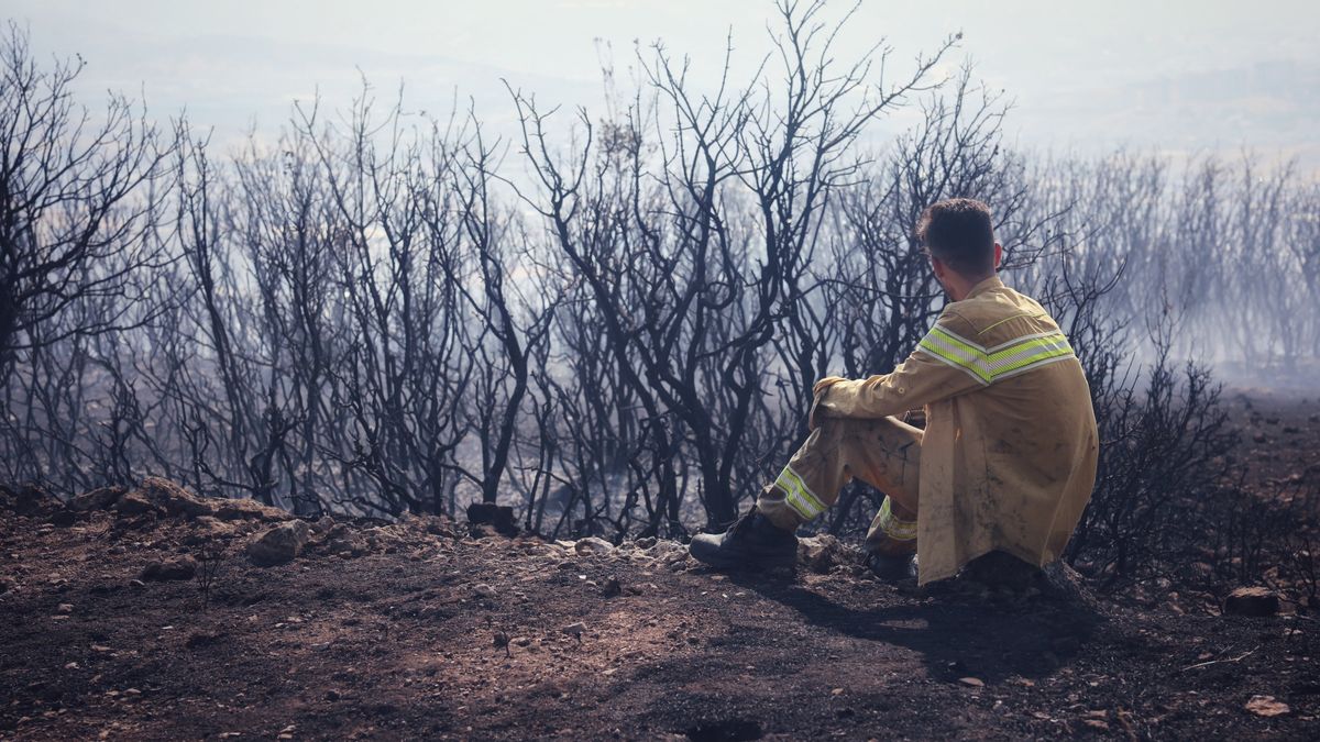 Un incendie de forêt dans l'exmir turc s'est propagé près de la colonie, des résidents évacués