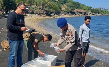 Polairud Bima Ungkap Kasus Pengiriman Terumbu Karang Ilegal