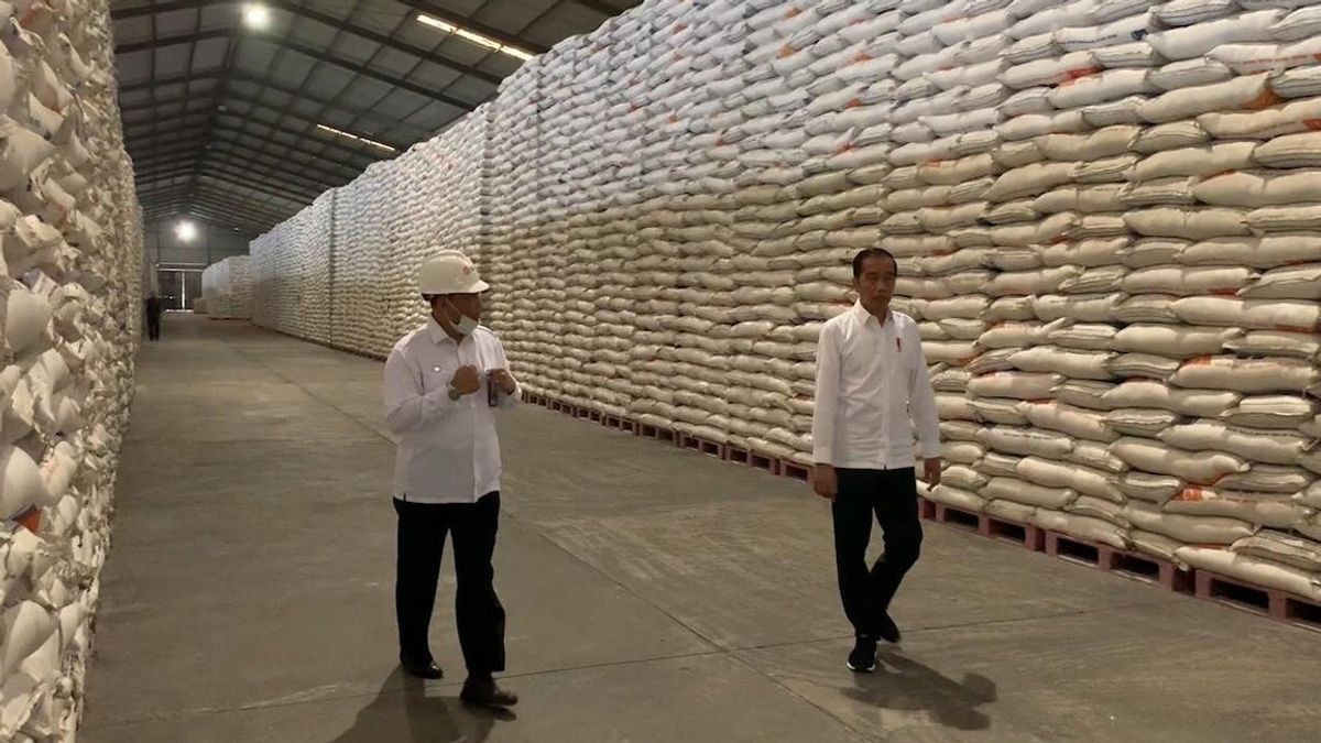 Mendag Lutfi Coreng Muka Jokowi di Wacana Impor Beras, Sekjen PDIP: Harusnya Eksportir Beras