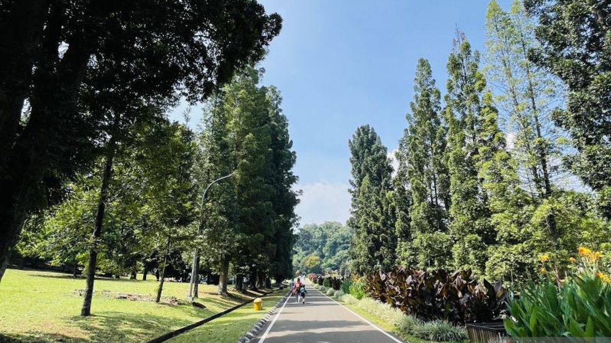 Pilgrims' Group At 7 Bogor Botanical Gardens Security Guard, Manager Reports Police