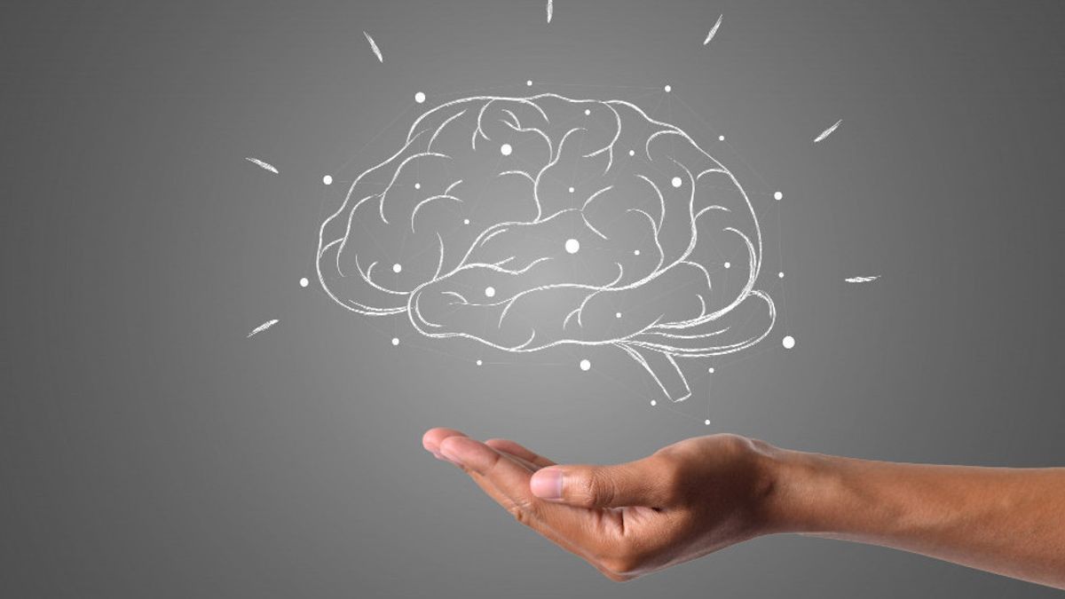 What Does The Right Brain Mean More Dominantly? Here's The Explanation