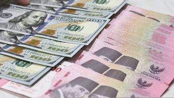 经济学家：必须从财政方面支持卢比汇率的稳定