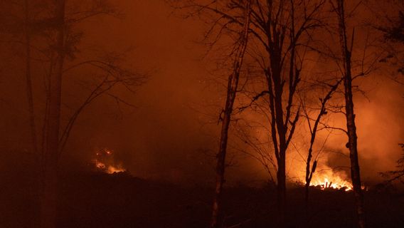 強風が米国の山火事をオレゴン州に押し上げる