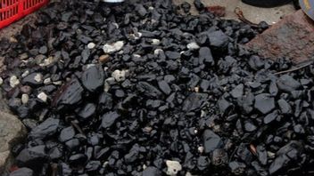 创纪录,2023年印尼煤炭产量达到775万吨