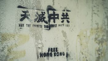 香港警察が12歳の少女と抑圧を擁護する警察部隊を「殴った」とき