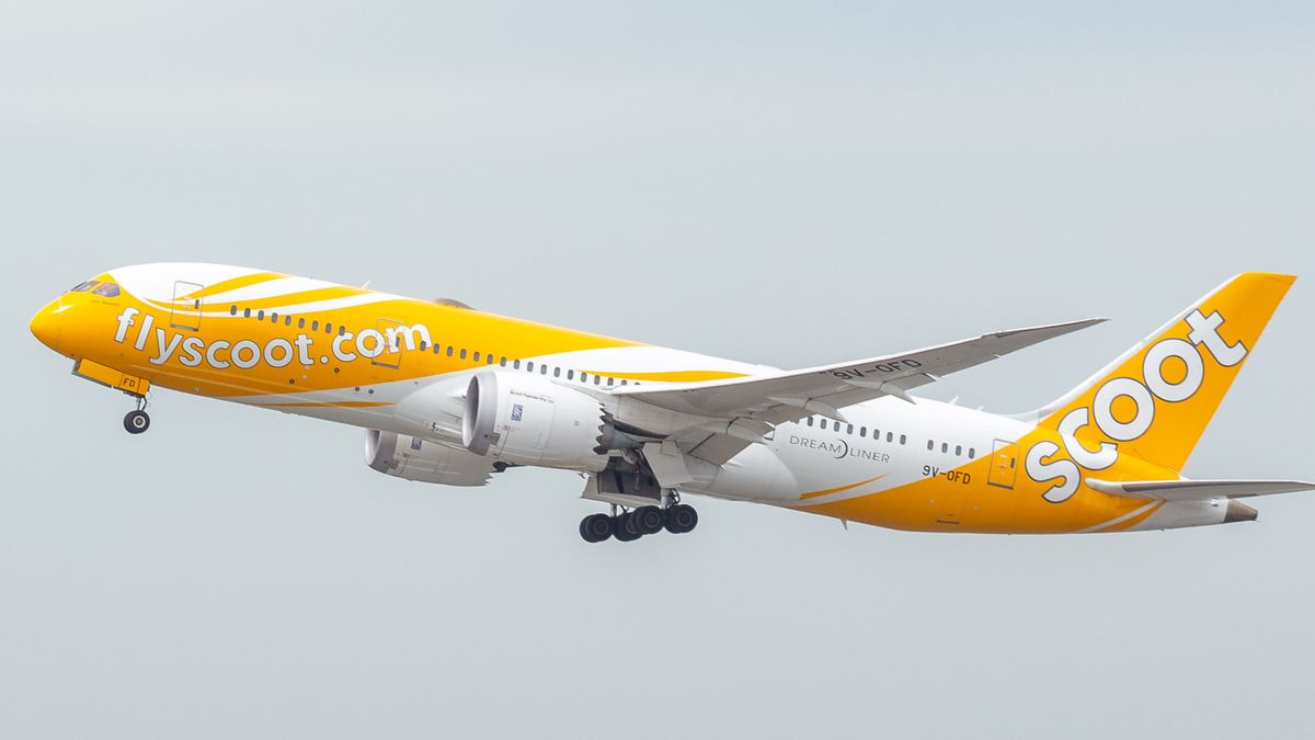 TigerAir Scoot Airlines Add Manado-Singapore Route Frequency