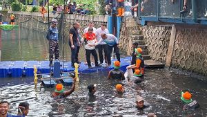 Ikan Sapu-sapu Kuasai Jakarta, Pramono Sebut Ekosistem Sungai Dirusak