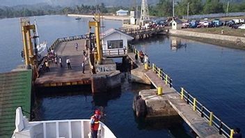 马穆朱港在马耶内地震后暂时关闭