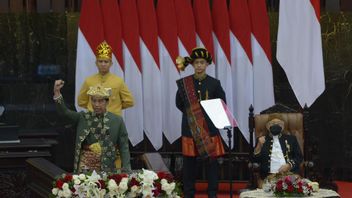 Mencermati Pidato Presiden Jokowi yang Ingin Memperkuat Perlindungan Hukum