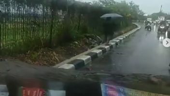 Pohon Angsana di Jalan Raya Pondok Cabe Tumbang, Satu Orang Pemotor Luka-luka